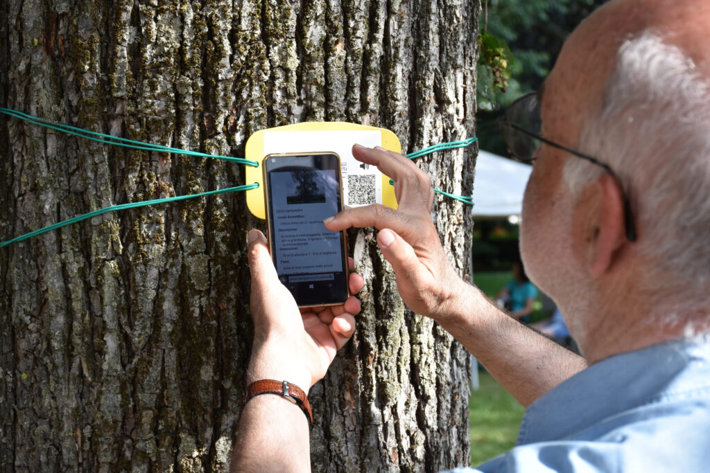 Targhetta con QR code accanto all’ulivo adottato